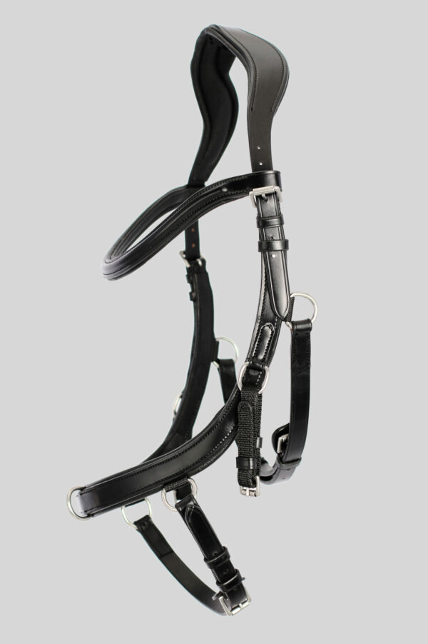 TOPREITER_Training-bridle-4251260202789-42FR3nloG6bYfp