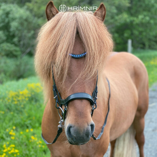 headstall_classic_blue_3_1