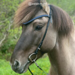 headstall_classic_blue_main
