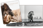 horses-of-iceland-book