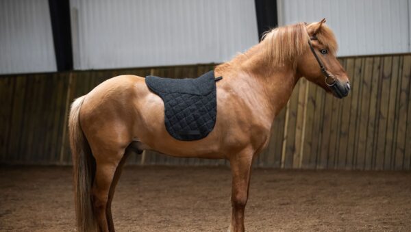 Kidka_SaddlepadDeluxe_2_homepage-e1727864587164
