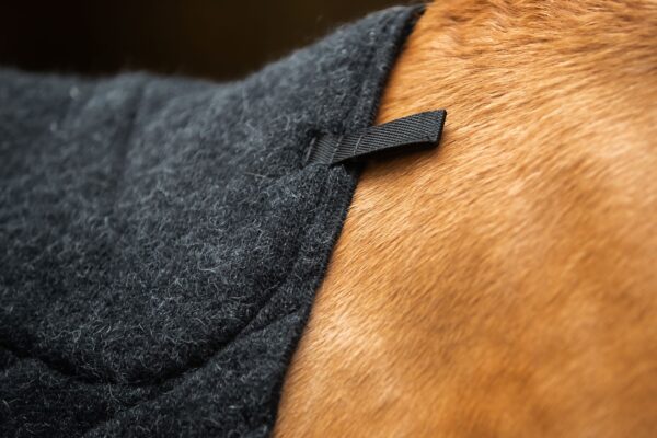 Kidka_SaddlepadDeluxe_detail_homepage
