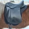 kidka saddlepad wool deluxe on horse