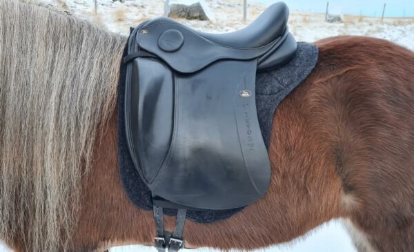 kidka saddlepad wool deluxe on horse