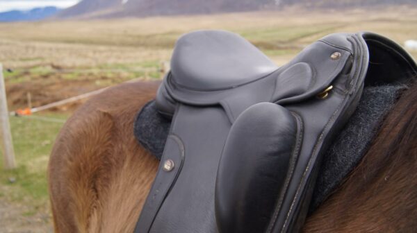 kidka wool saddle pad deluxe