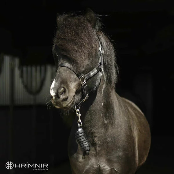 hrímnir_full_halter_with_rope3_1
