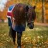 Kidka wool blanket fani iceland front