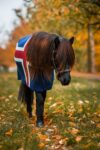 Kidka wool blanket fani iceland front