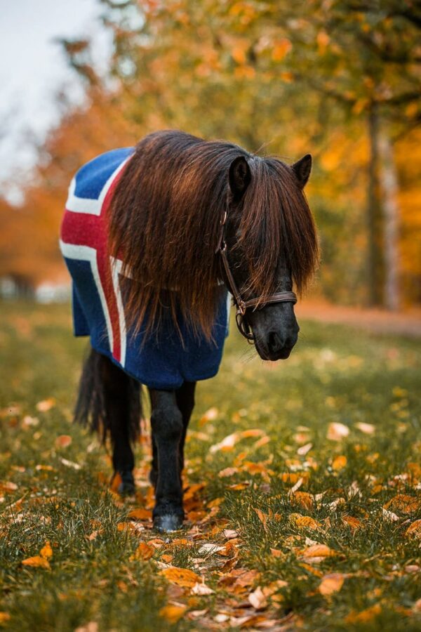 Kidka wool blanket fani iceland front