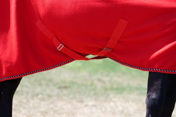 Top Reiter Fleecerug Soft-Line red 2