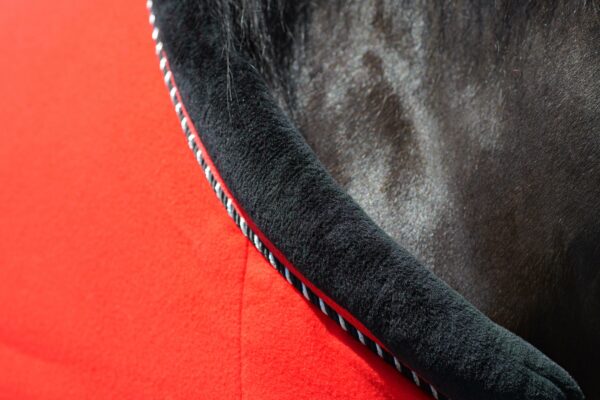 Top Reiter Fleecerug Soft-Line red5