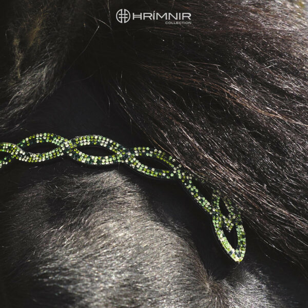 hrimnir Aurora headstall close pic details_1