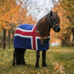 kidka horse blanket fáni iceland flag