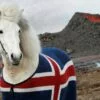 kidka horse blanket fani iceland flag