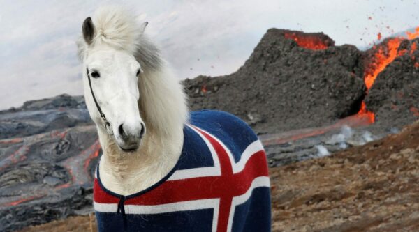 kidka horse blanket fani iceland flag