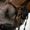 topreiter-noseband-hanoverian-adjustable_1920x1920