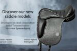new_saddles_Desktop_EN