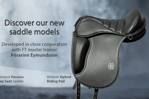 new_saddles_Desktop_EN