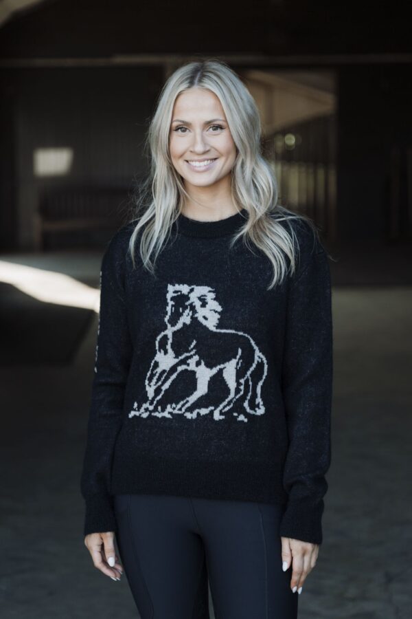 topreiter-hoodie-unisex-varmi-black-stable-front-smile_1920x1920