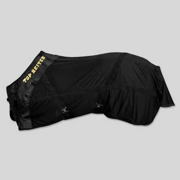 TOp reiter magic Skjol rug DE-MR-01