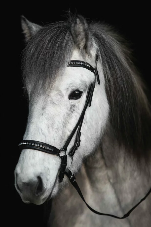 TR_diamond_headstall
