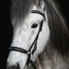 TR_diamond_headstall