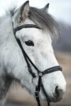 TR_diamond_headstall2