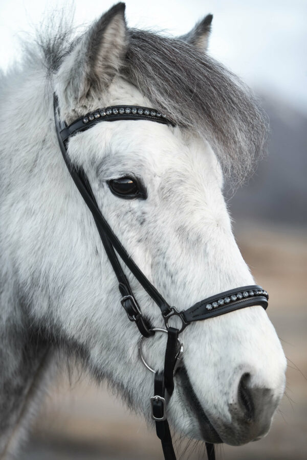 TR_diamond_headstall2