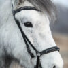 TR_diamond_headstall2