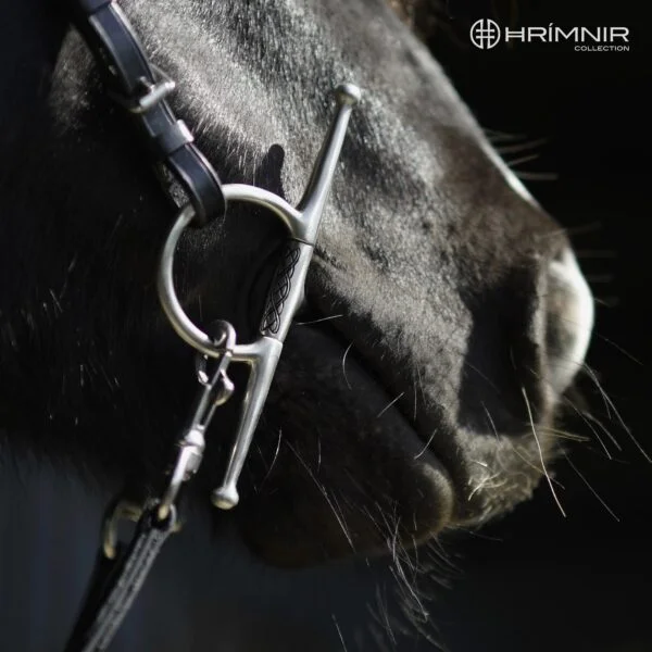 side_cheek_bit_horse2