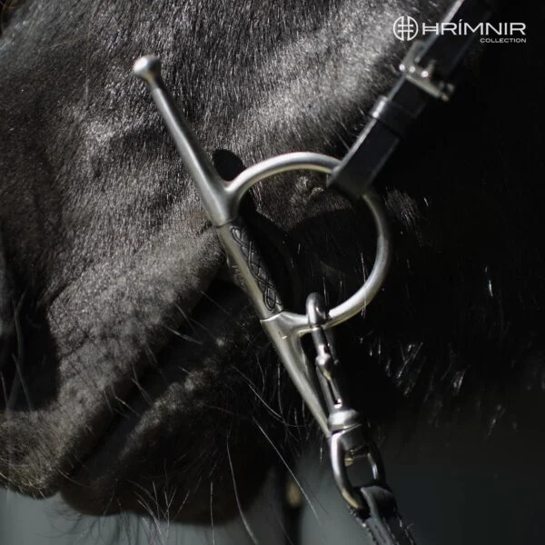 side_cheek_bit_horse3