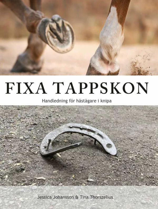 Bok-forstasida-copy