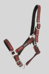 Halter-Set-HAL-STR-GLIT-BR-42512602290834-1_600x600