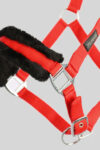 Halter-Set-Softline-4251260229588-3_600x600