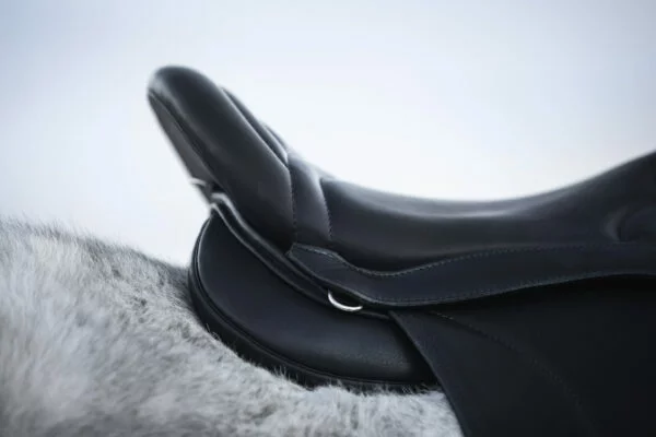 TOP_REITER_Saddle Legend2