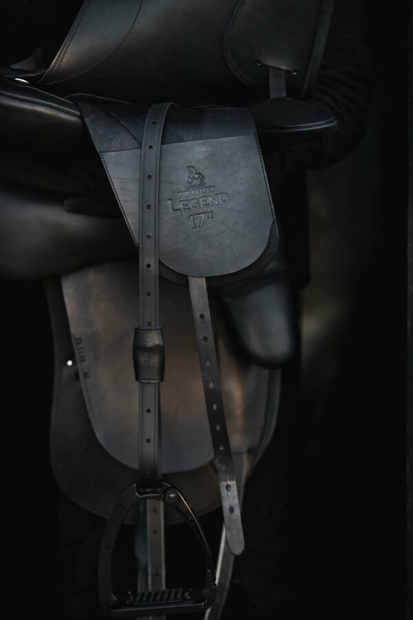 TOP_REITER_Saddle Legend3