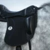 TOP_REITER_Saddle Legend5