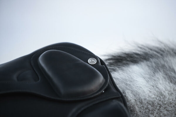 TOP_REITER_Saddle Legend7