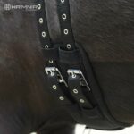 details3