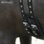 details4_1