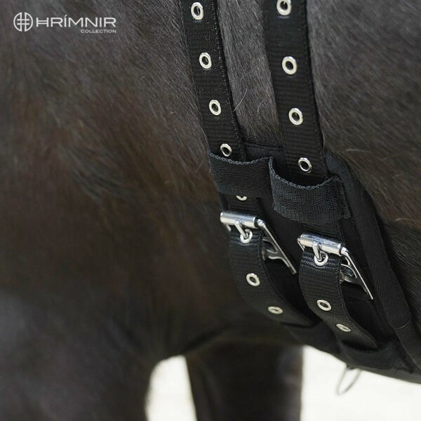details4_1