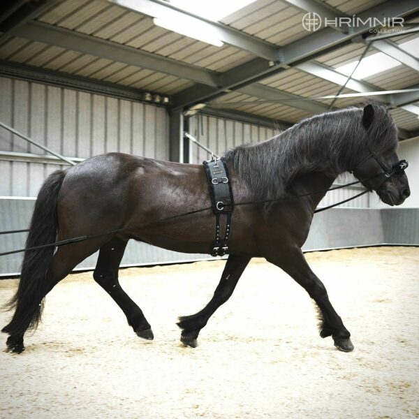 double_lunge_on_horse