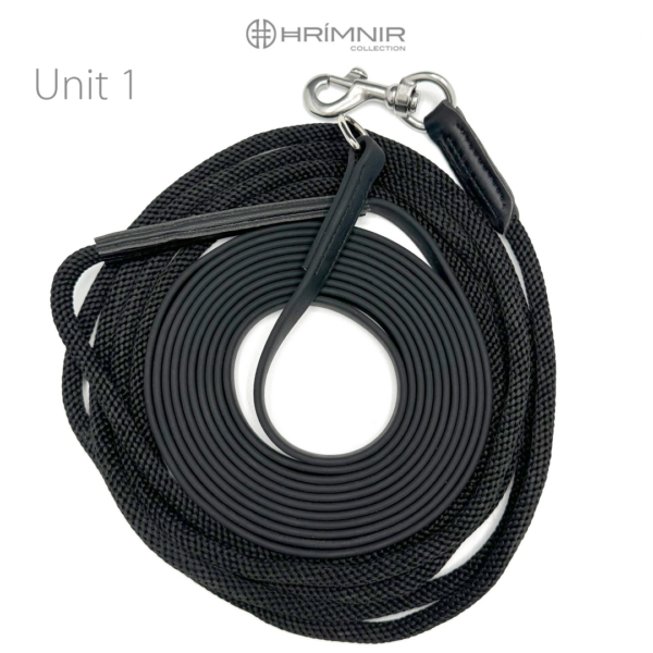 double_lunge_unit_1_describtion