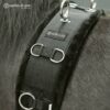 girth_with_logo1