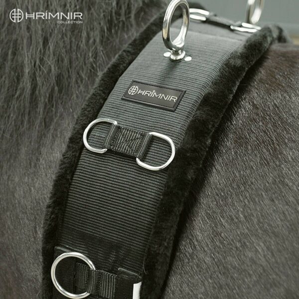 girth_with_logo1