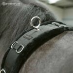 lungeing_girth_with_logo2_1