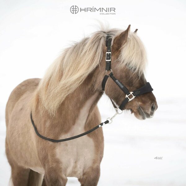 premium_halter_watermark2 (1)