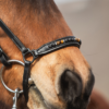 topreiter-noseband-orka_1920x1920