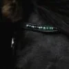 topreiter-orka-headstall-green_1920x1920