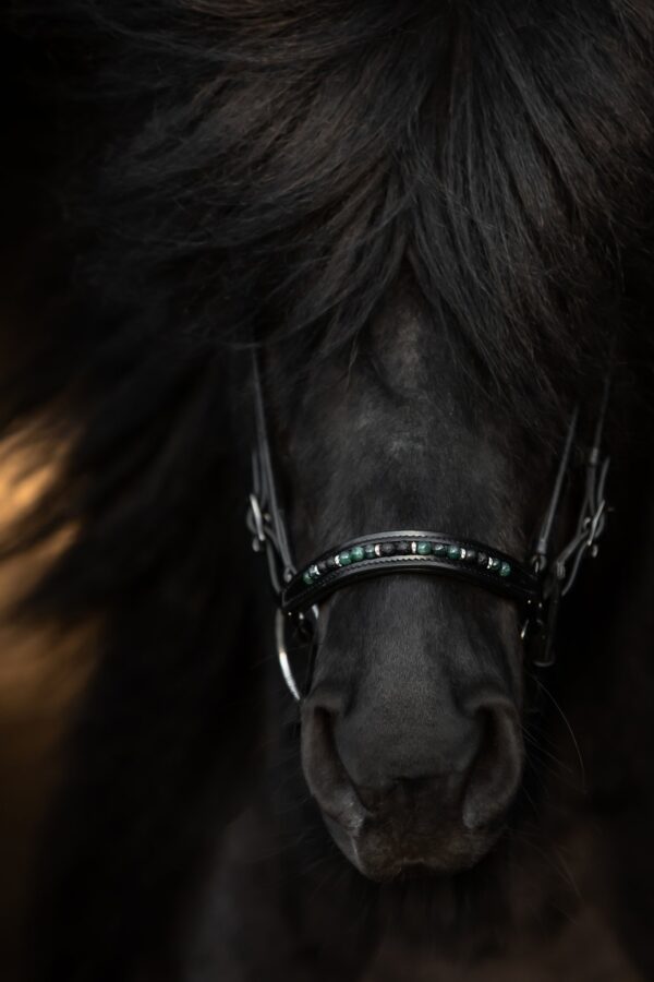 topreiter-orka-noseband-green-hanoverian_1365x2048